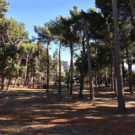 Urban Oasis At Plantation Cottages كيب تاون المظهر الخارجي الصورة
