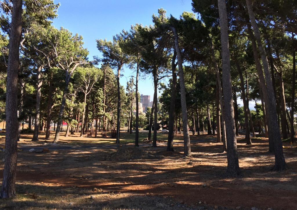 Urban Oasis At Plantation Cottages كيب تاون المظهر الخارجي الصورة
